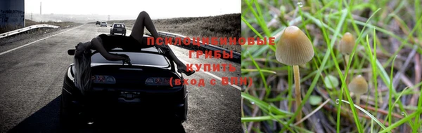 соль ск Мегион
