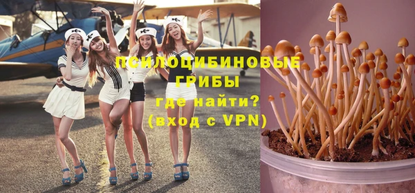 соль ск Мегион