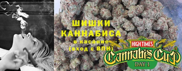 spice Медногорск