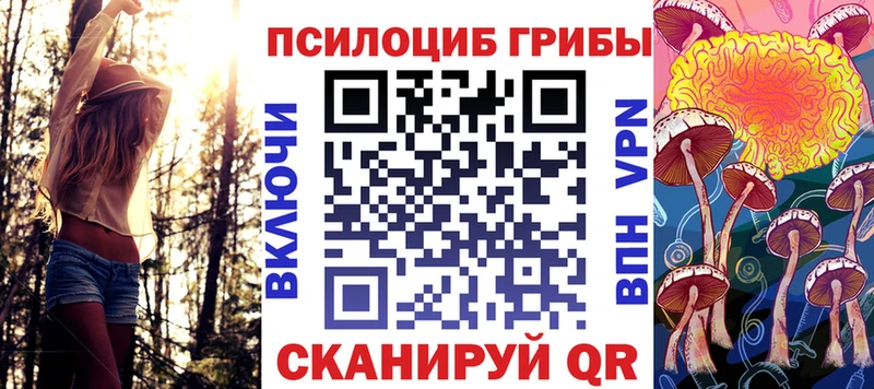 дарнет шоп  Горячеводский  Псилоцибиновые грибы прущие грибы 